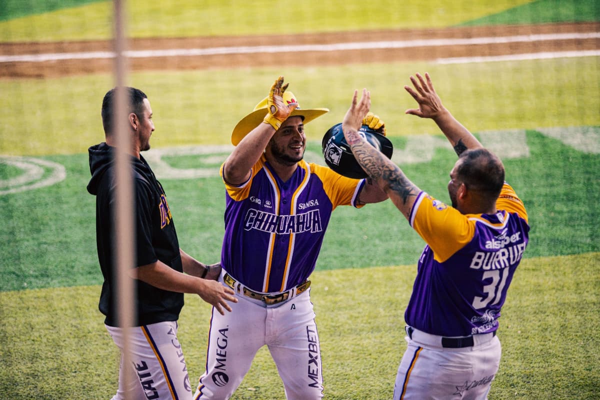 Chihuahua reclama la serie en casa