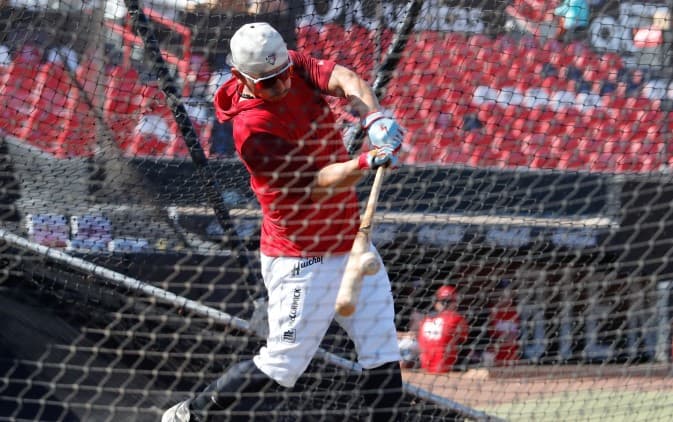 Toma forma pretemporada de los astados